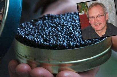 Polarfisk AS vil produsere eksklusiv og kostbar sort kaviar (russisk kaviar)